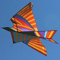 Sky Bird