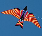Sky Bird