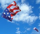 Large Patriotic Power Sled