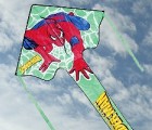 Spider-Man Super Flyer
