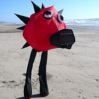 Spikey Bird