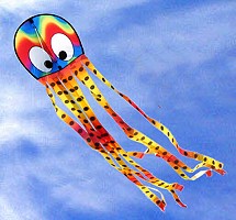 Squeaky Octopus