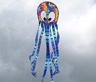 Squeaky Octopus