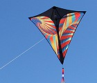 Prism Stowaway Diamond