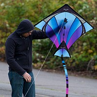 Switch Convertible Kite