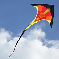 T Delta