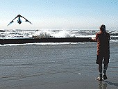 Trick Stunt Kites