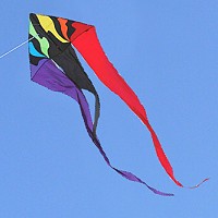 Tri-Tail Delta