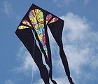 Tri-Tail Delta