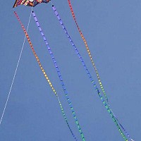 Transiion Tails
