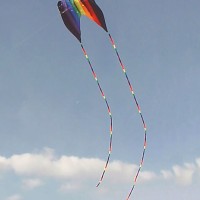Tube Tails