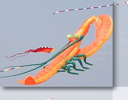 25 foot Lobster